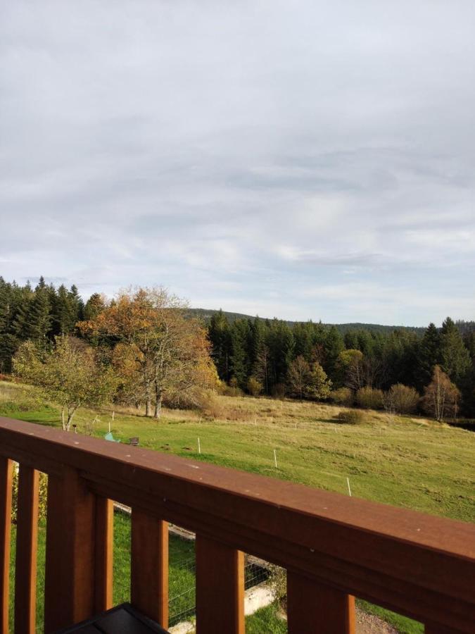 Chambre D'Hotes Les Brimbelles Gérardmer Kültér fotó